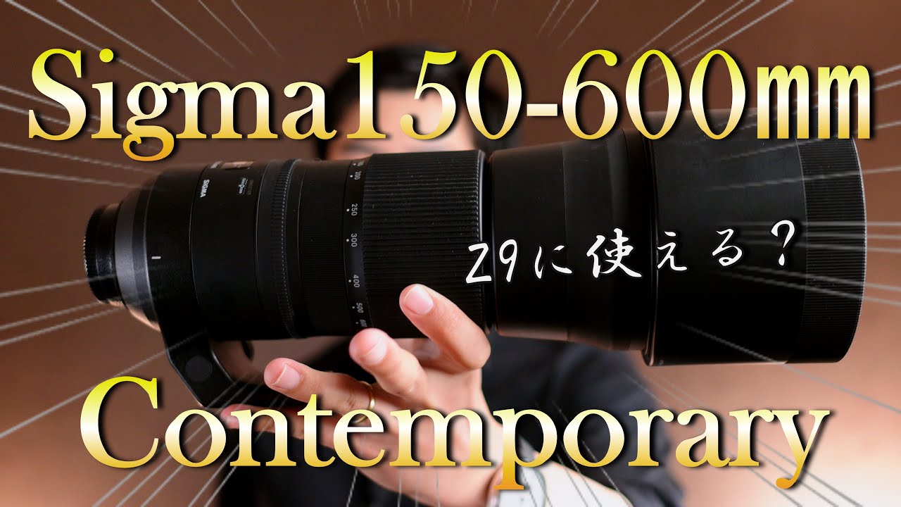 Sigma 150-600mm Contemporary│NikonZ9で使った使用感