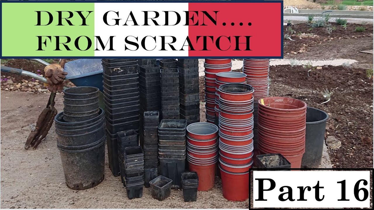 How I created our dry, waterwise mediterranean garden from scratch in Puglia #ITALY LIFE