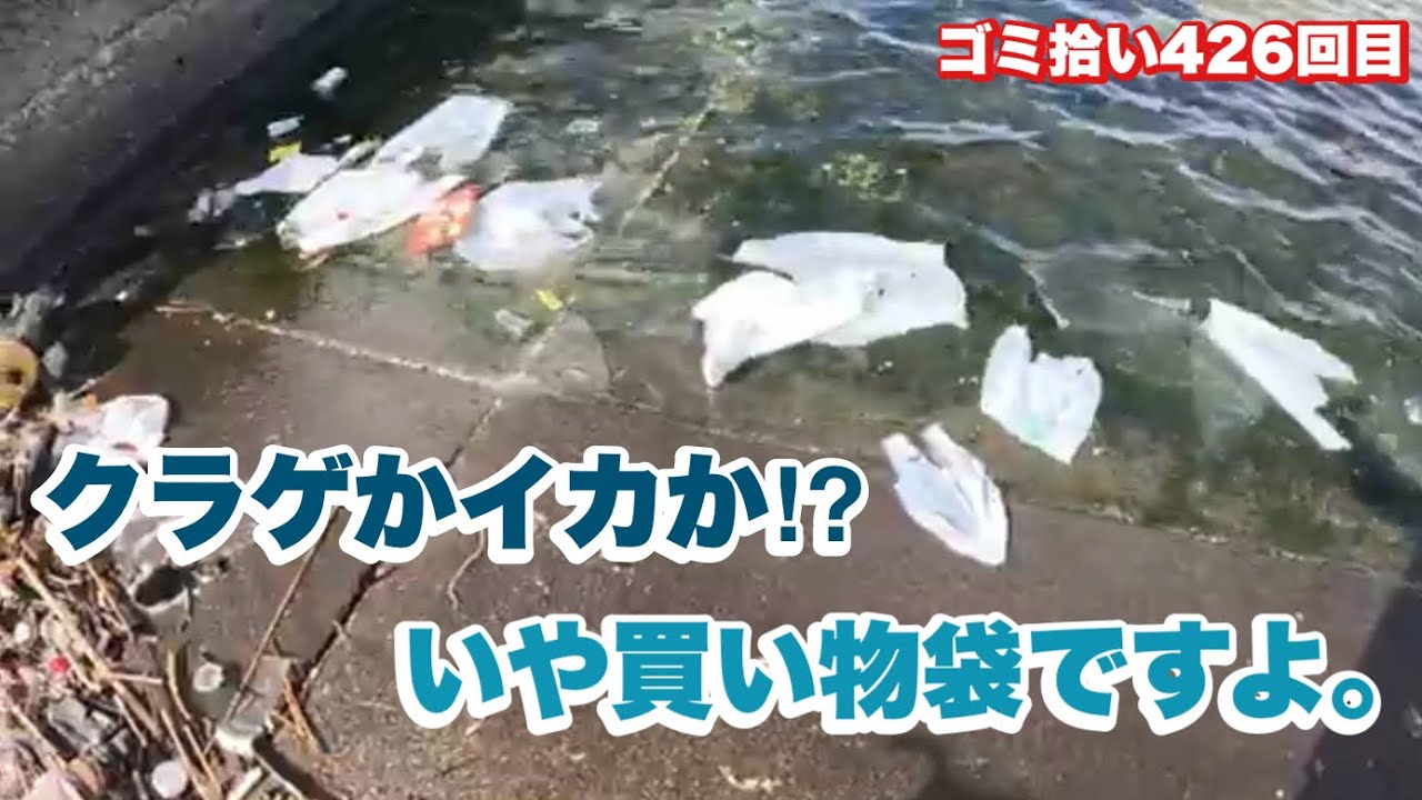 [ゴミ拾い]ビニール袋地獄な海[めがさぶの地球を綺麗にVol426]