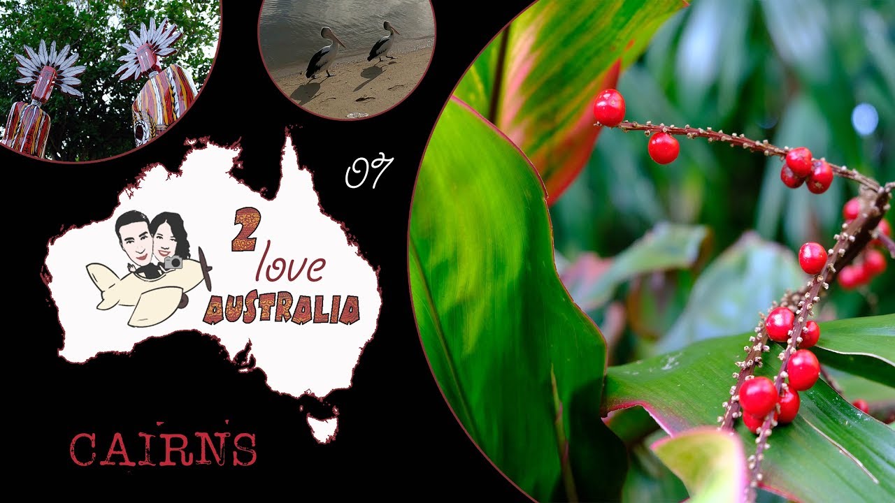 CAIRNS, esplosione di colore tropicale nel QUEENSLAND #Australia2love.07 documentario di viaggio