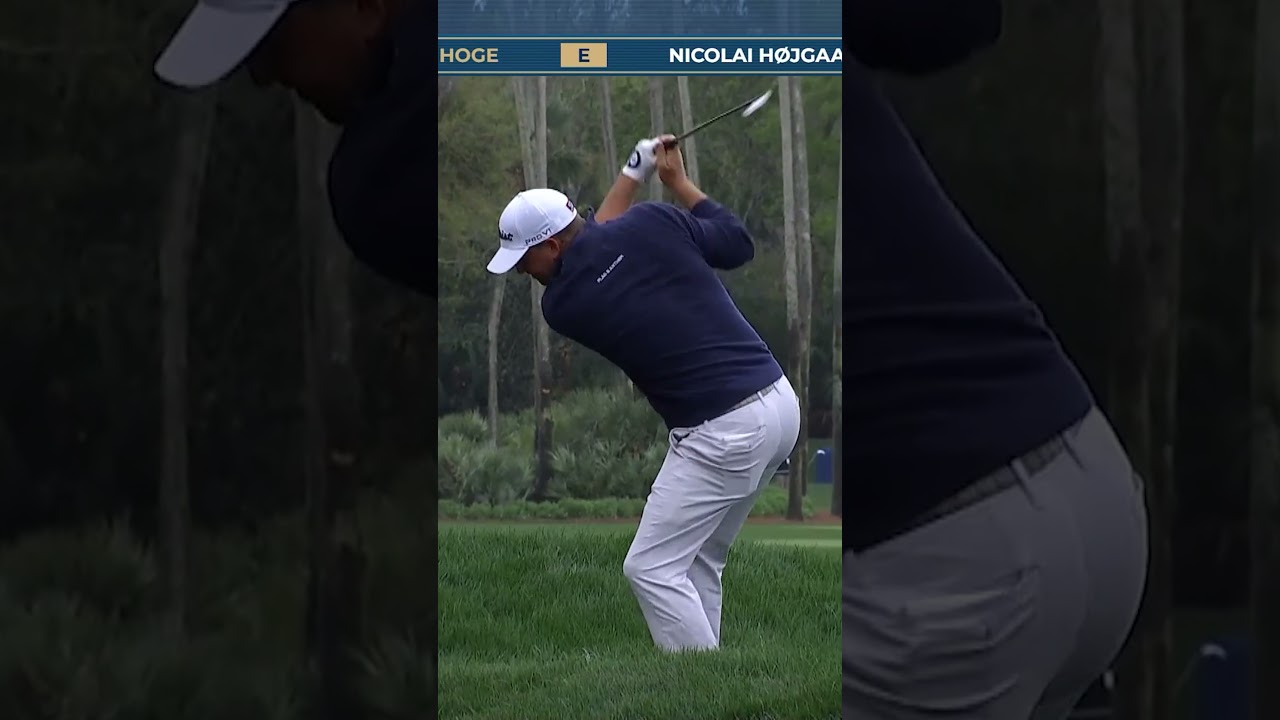 Tom Hoge makes a 9 on the 7th hole at THE PLAYERS. #golf #golfishard