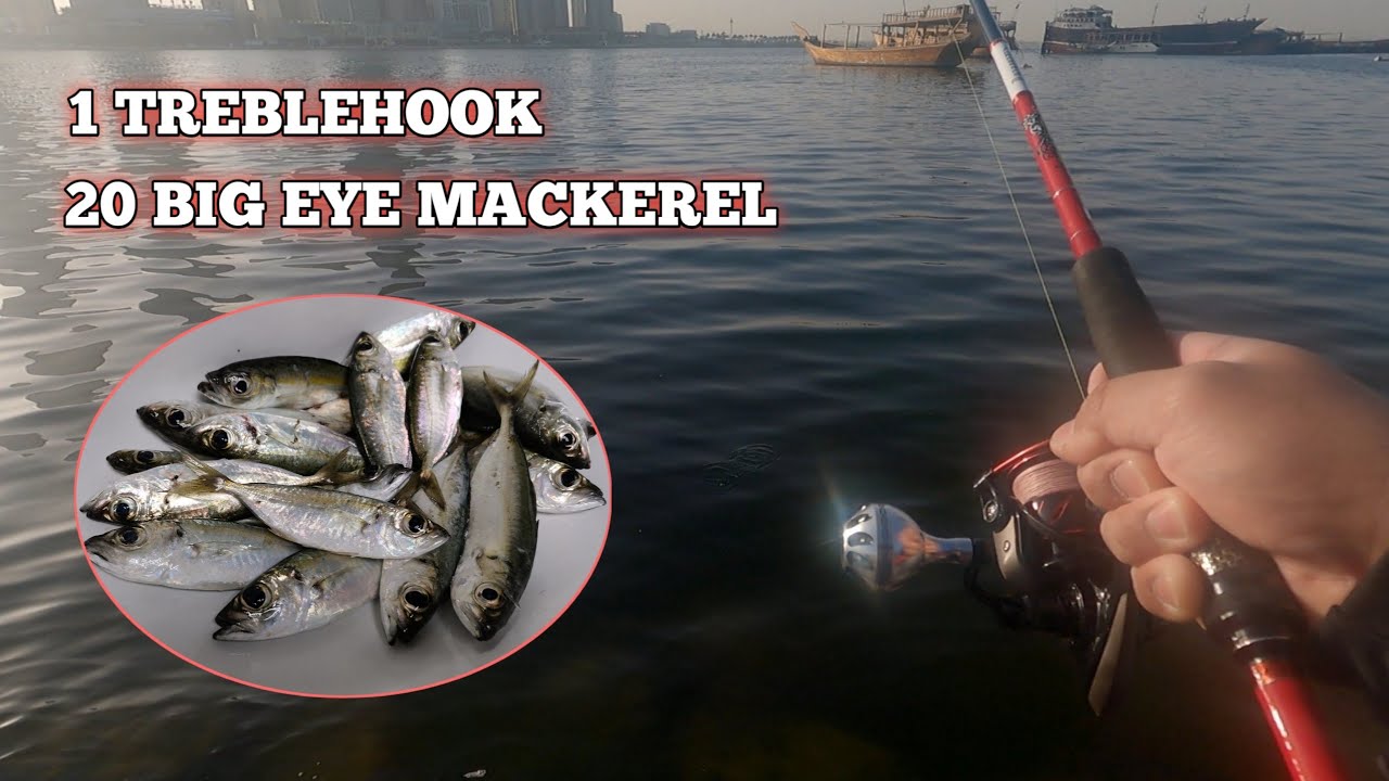 1 TREBLEHOOK FOR 20 BIG EYE MACKEREL