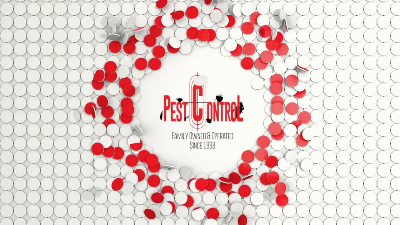 GTA Toronto Pest Control Maintenance Service