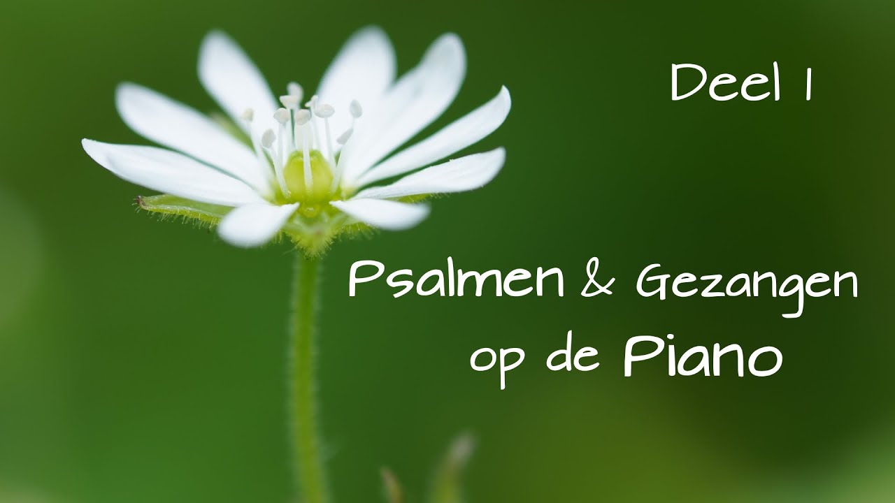 Psalmen & Gezangen op de piano - Deel 1