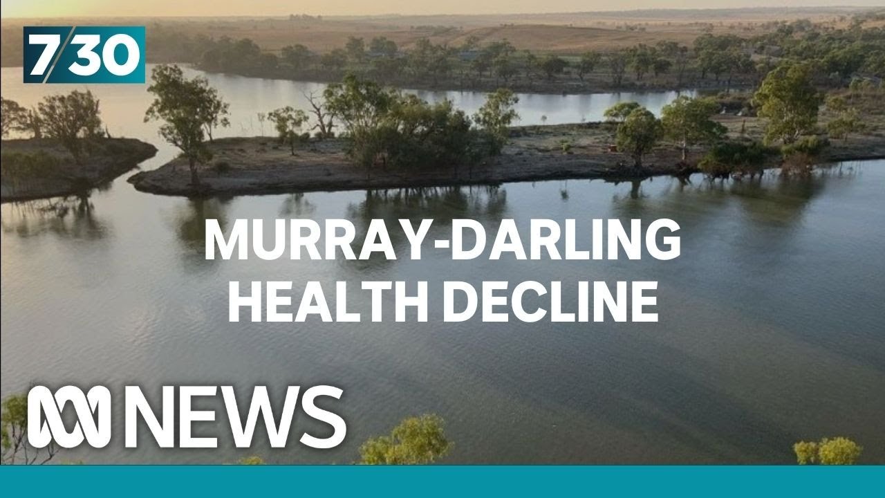 Battles brewing over the Murray-Darling Basin Plan | 7.30