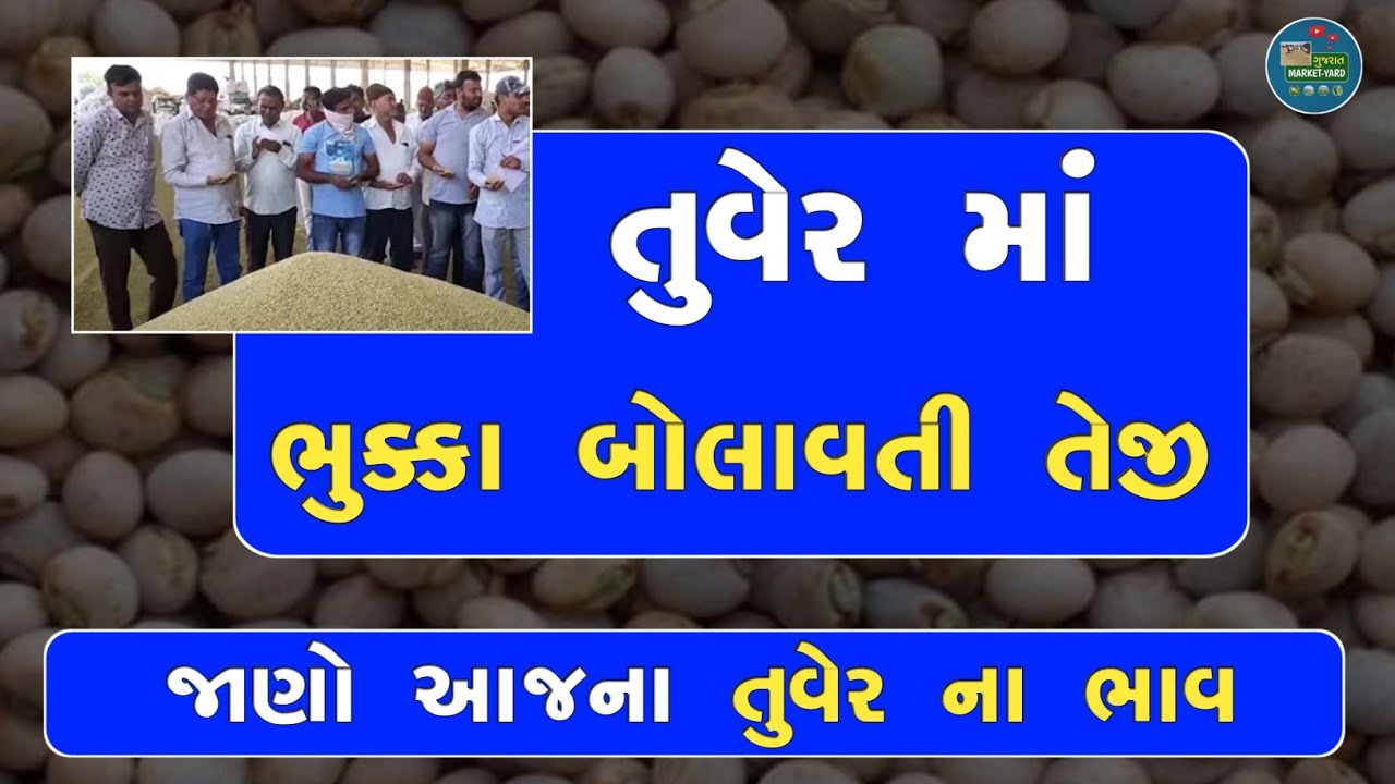 આજના તુવેર ના ભાવ | tuver Na Bhav | આજના બજાર ભાવ તાજા | @Gujarat Market Yard