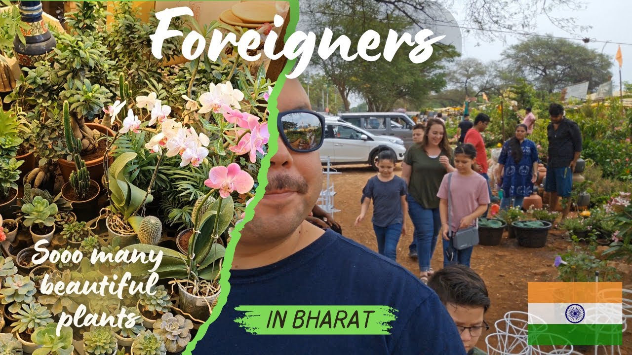 What do Foreigners choose in Bharat? 🇮🇳