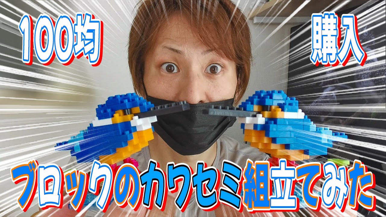 【100均で購入したカワセミのレゴ風ブロック組立てみた】みんな大好き可愛いカワセミのLEGO風ブロック〖DAISOのプチブロックシリーズ〗