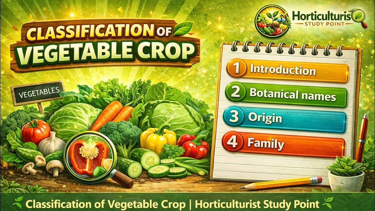 Classification of Vegetable Crop| Horticulturist Study Point #Horticulture #HorticulturistStudyPoint