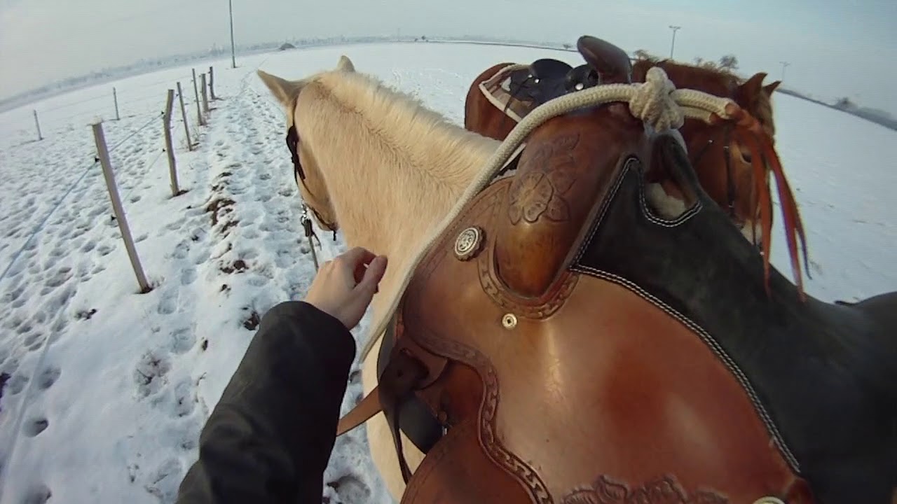 GoPro horse riding !