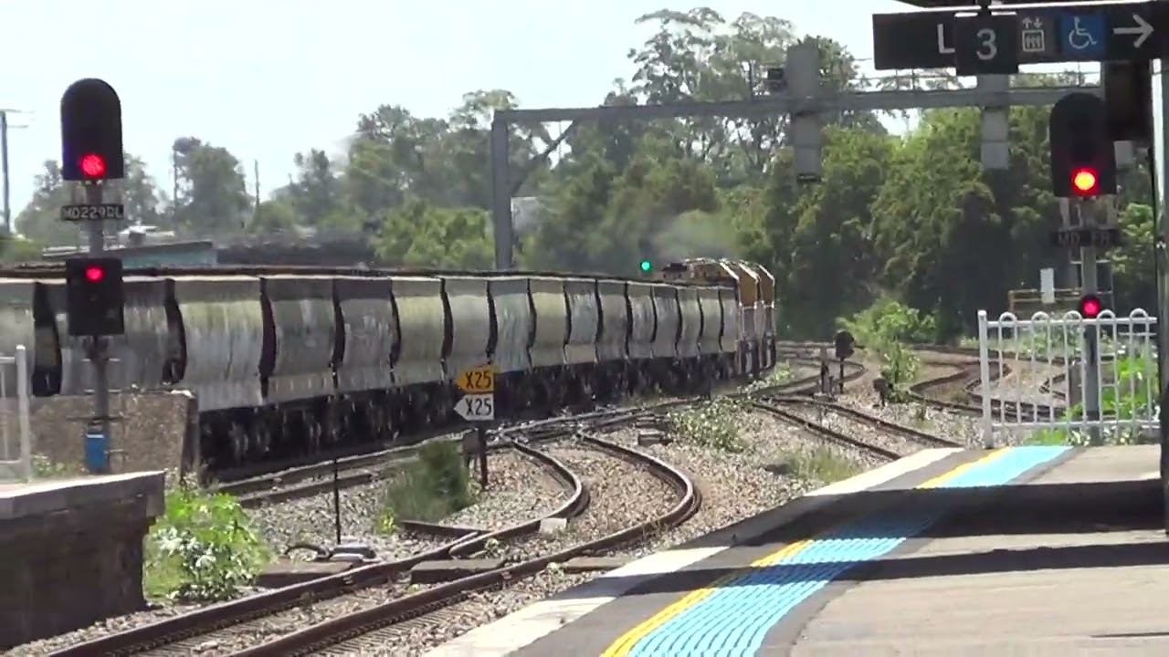 8237+8248=Maitland