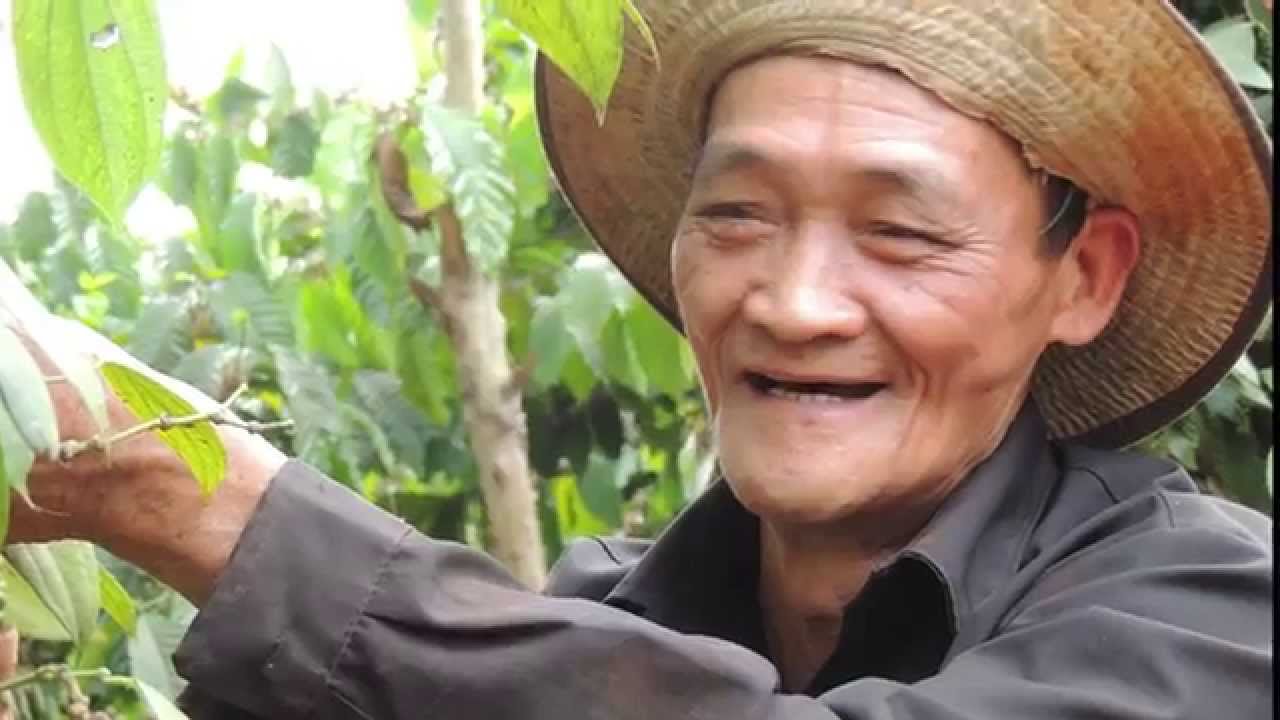 Sustainable Pepper Production in Vietnam