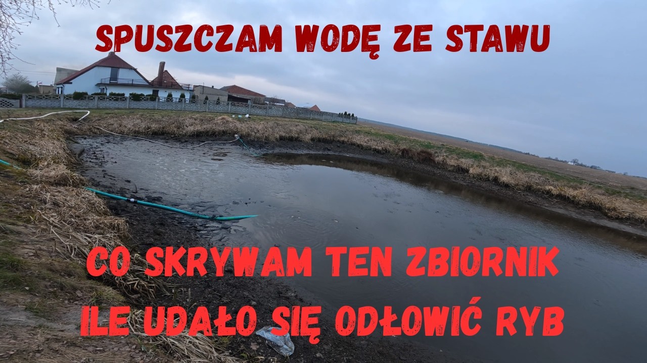Spuszczam Wodę Ze Stawu, Co Skrywa Zbiornik, Ile Udało Się Odłowić
