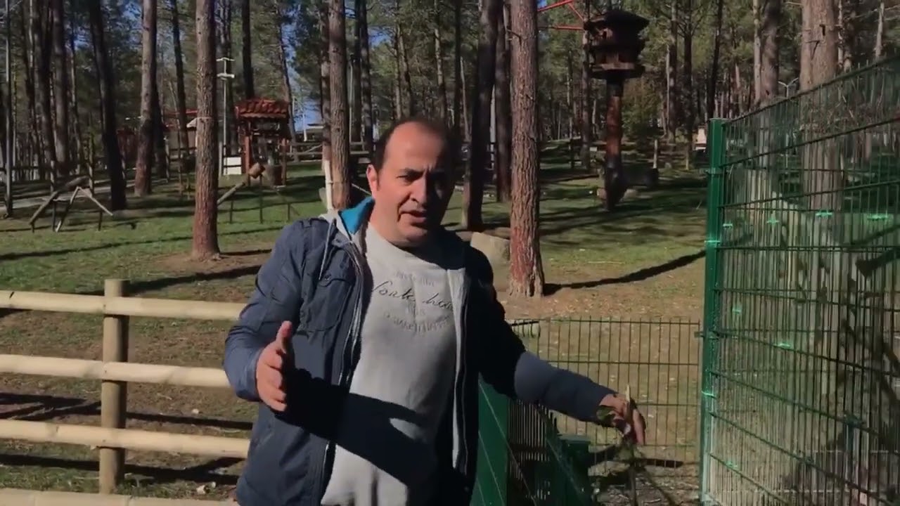 KÖYPARKTA KEÇİ ÇOBANLIĞI DENEYİMİ,KLASİK PAZAR GÜNÜ