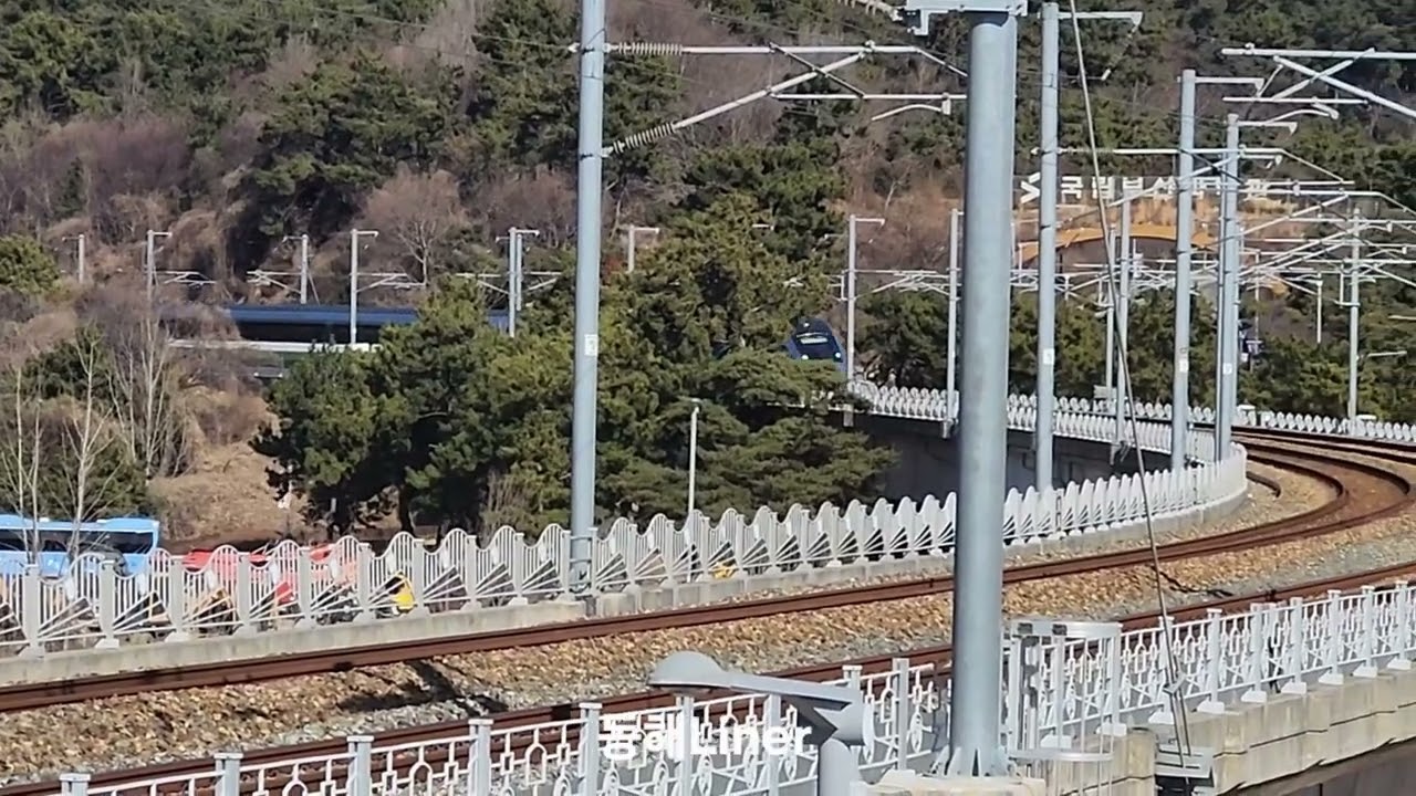 2026.01.24 동해선 서울발 부전행 #705