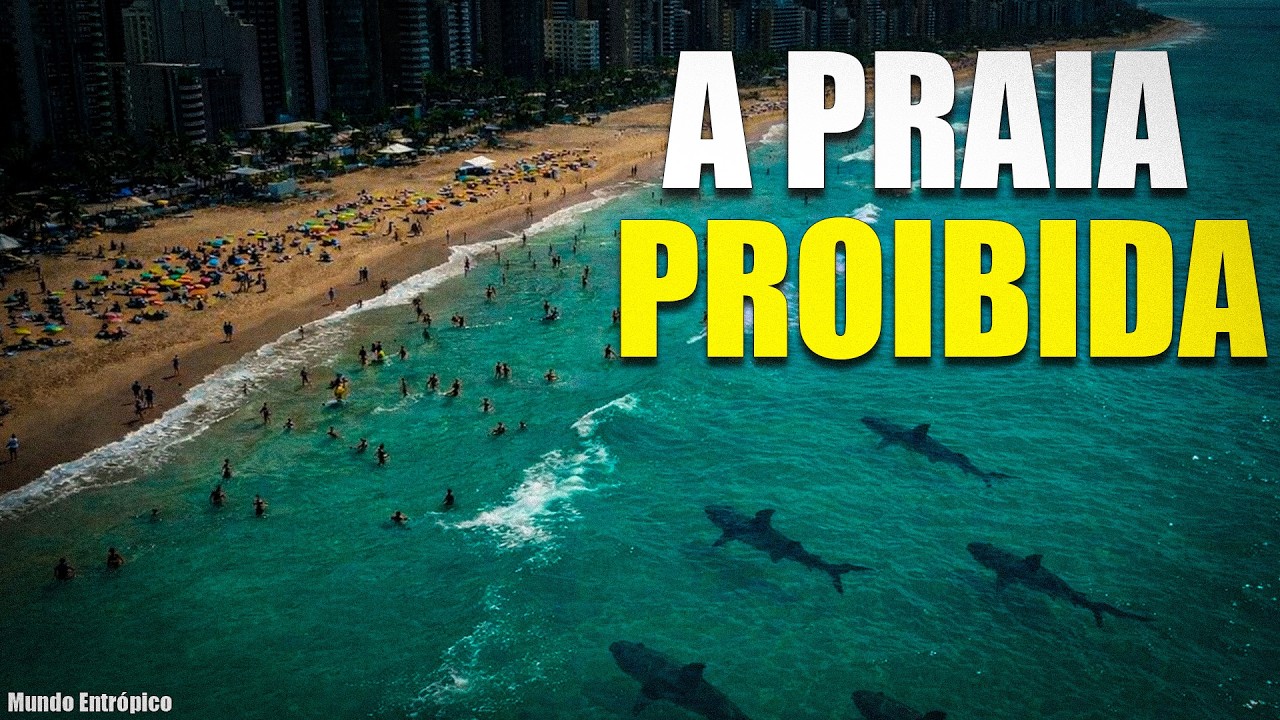 Por que RECIFE tem tantos ATAQUES de tubarão?