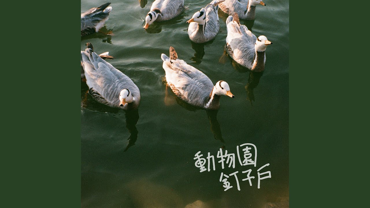 大大大大大象