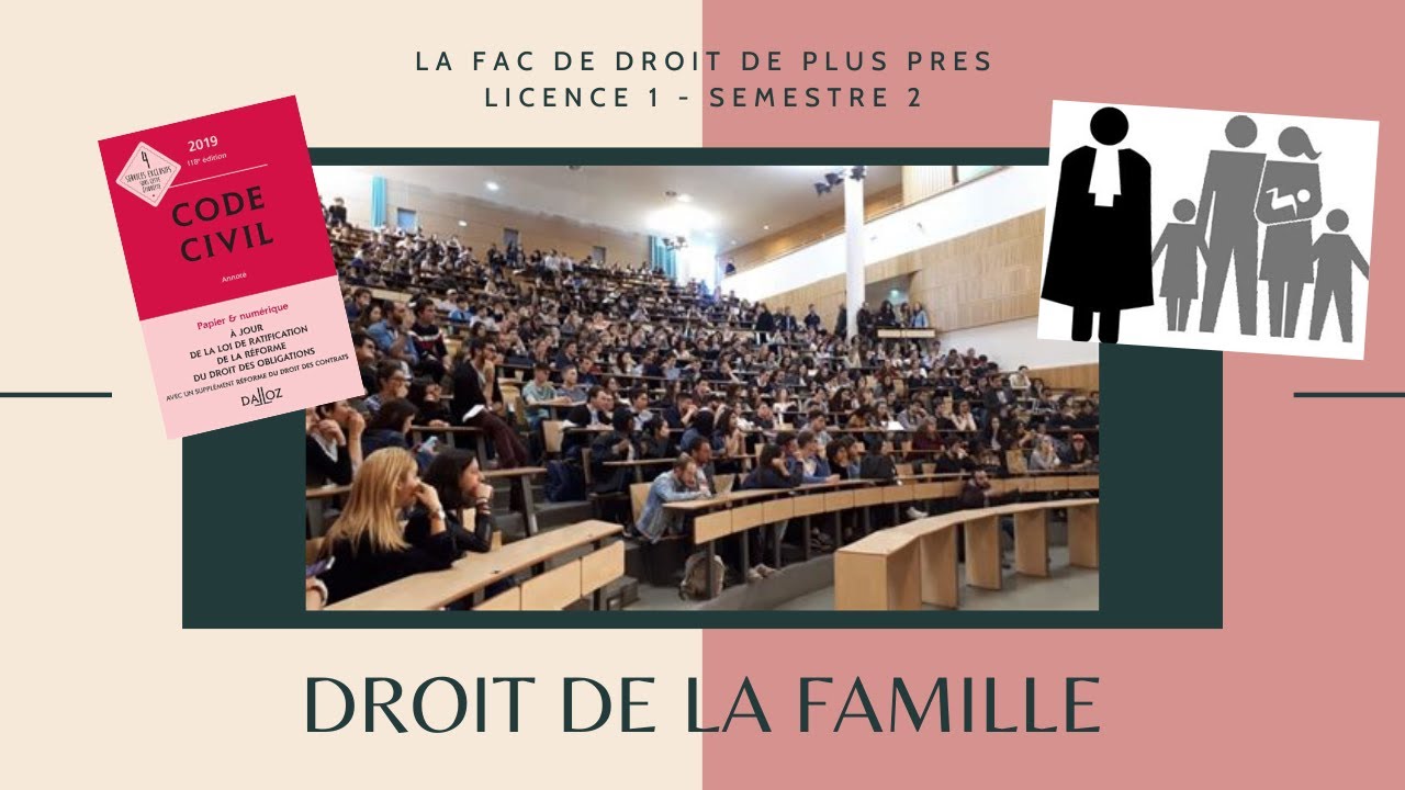 Révisions droit de la famille d'une L1 en fac de droit