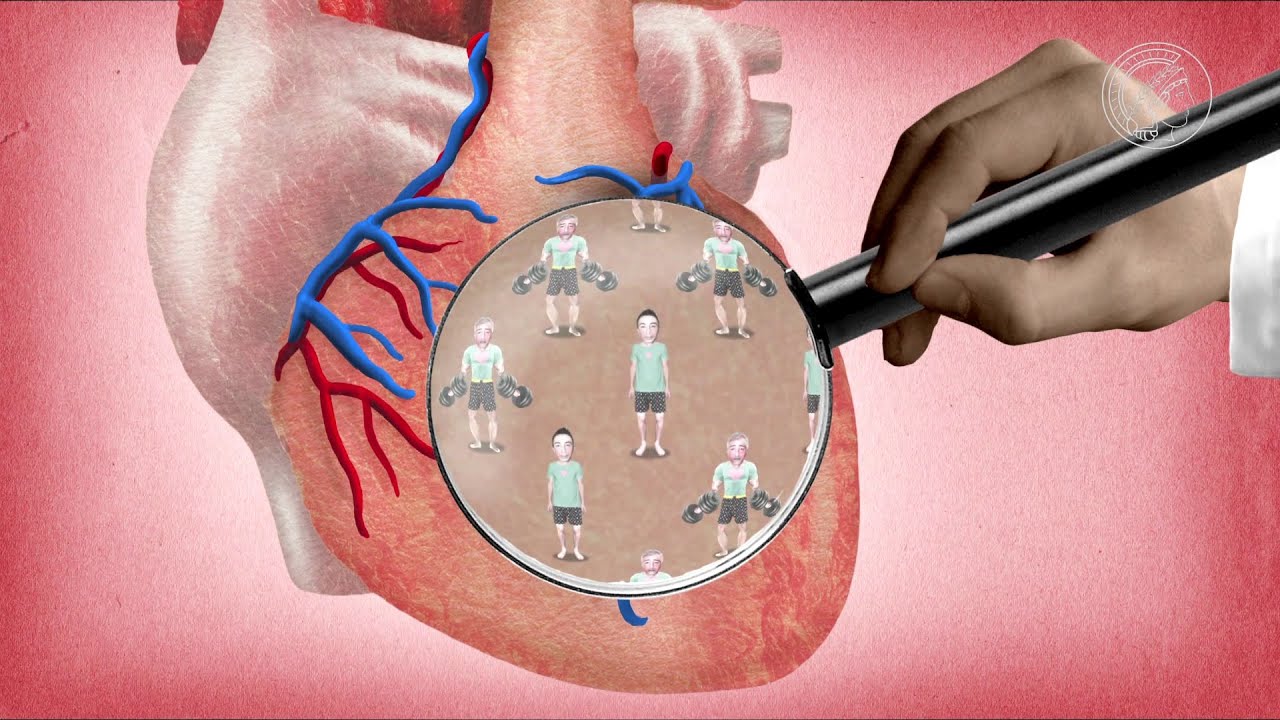 Stem Cells - repairing heart attack damage