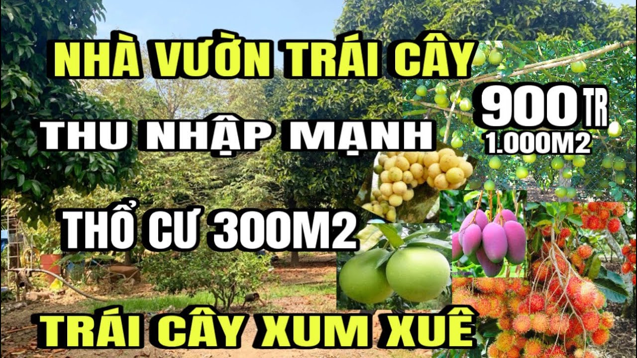Chính chủ bán gấp, Nhà vườn trái cây,  cho thu nhập mạnh, thổ cư 300N2, Huyện cẩm Mỹ cũ, Đồng Nai