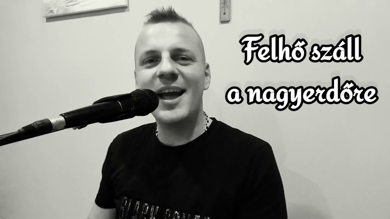 Boros Öcsi - Felhő száll a nagyerdőre ( Magyar hallgató nóta )