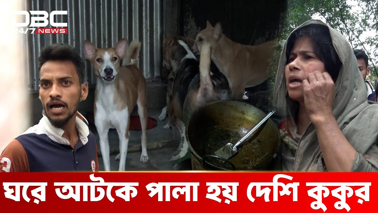 কুকুরের মাংস বিক্রির অভিযোগ গাজীপুরে | DBC NEWS Special