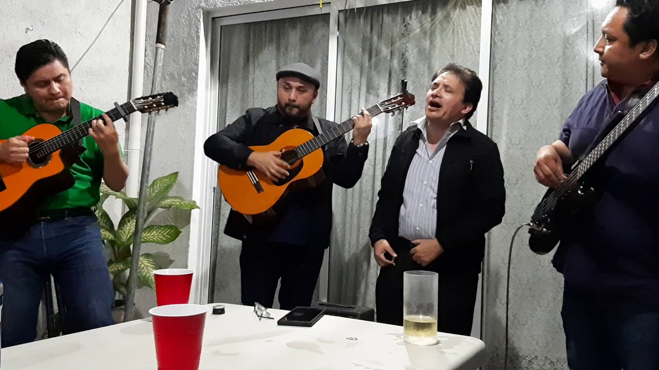 Alitas rotas