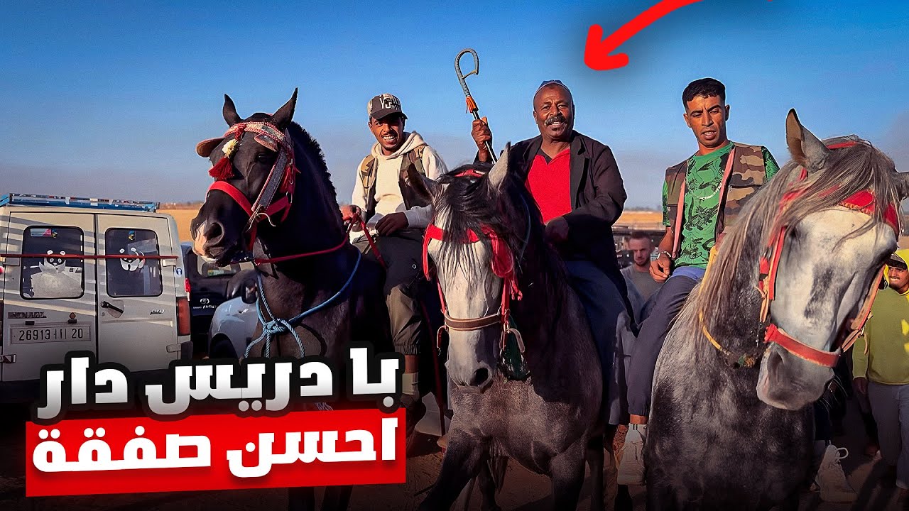 من سوق الخميسات بادريس شراء عود ملكي 😨ومروان مسكين تضرب 💔