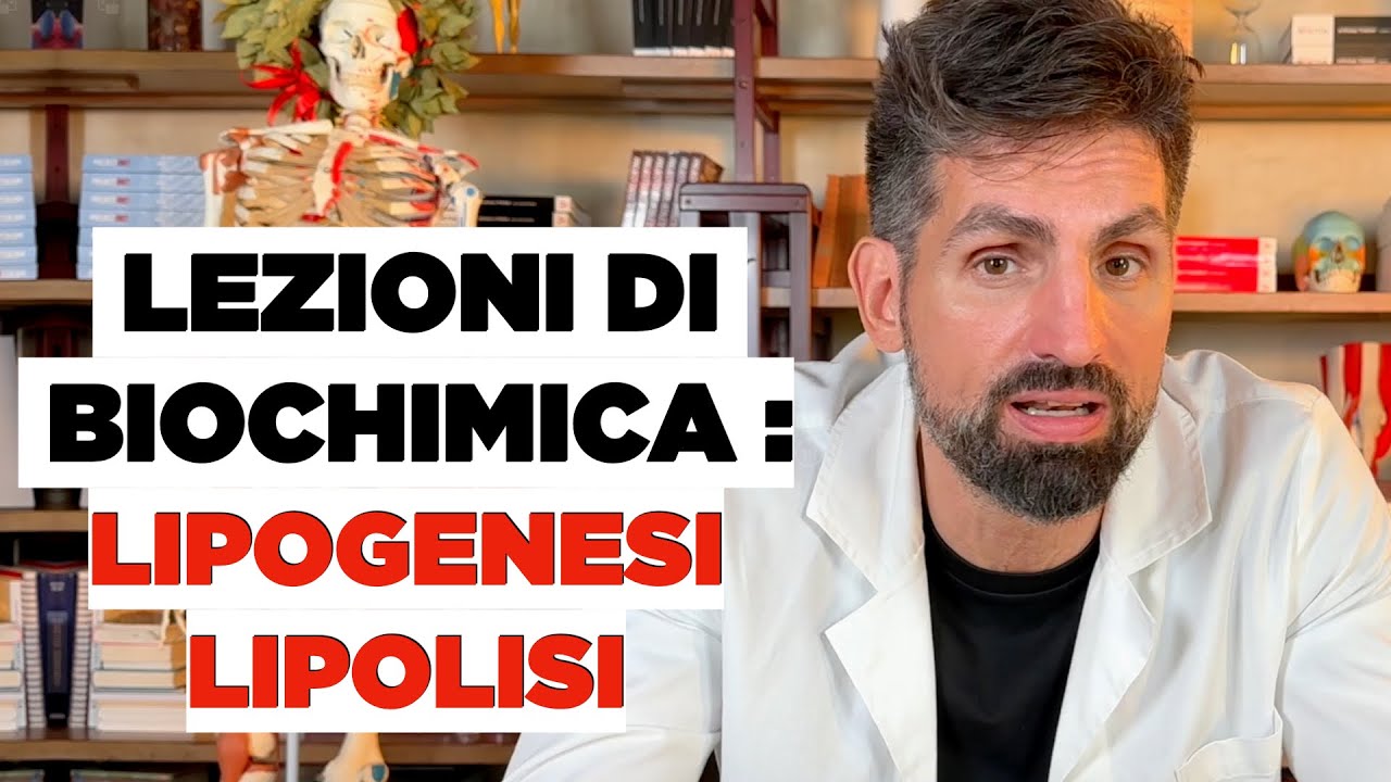 Metabolismo lipidico: lipogenesi e lipolisi
