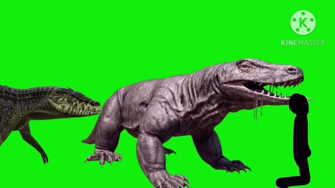 Size Comparison Green Screen 7.0