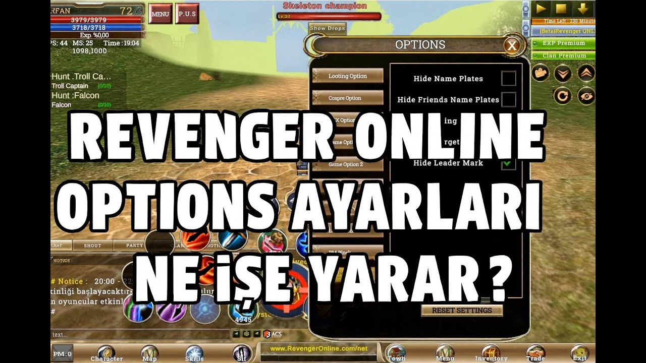 Revenger Online | Options Menüsündeki Ayarlar Ne İşe Yarar? #knight #knightonline #mobilknight