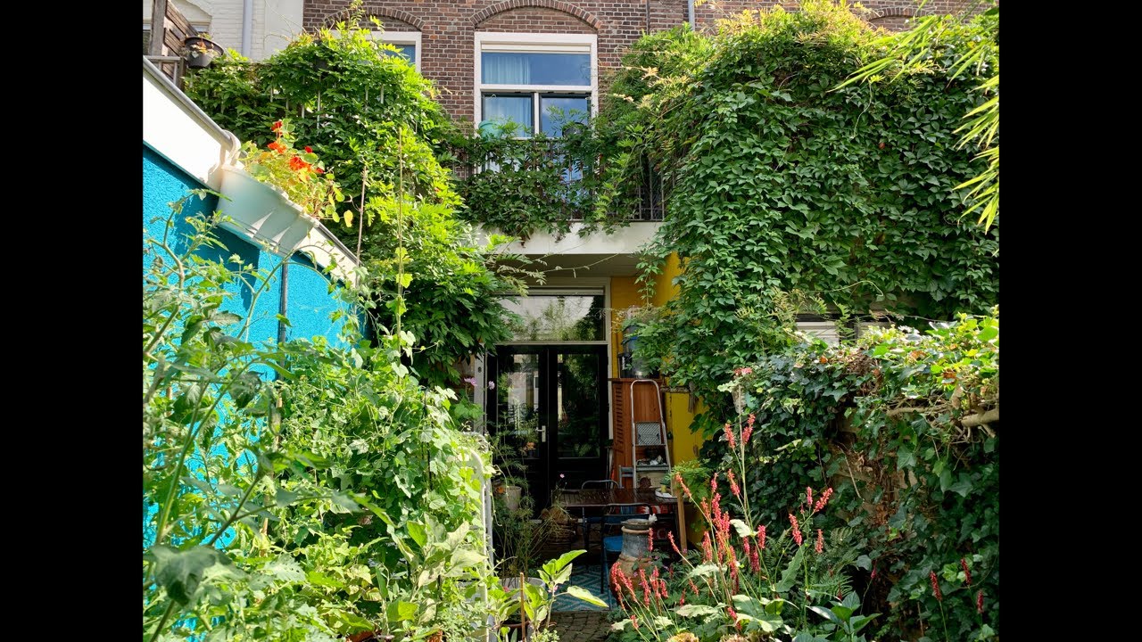 Moestuin in potten en bakken | Moestuinieren in potten (live)