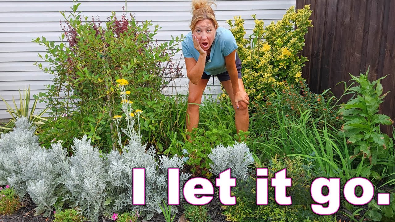 Taming an Overgrown Garden | New Plants & Cleaning Up My Carolina Garden