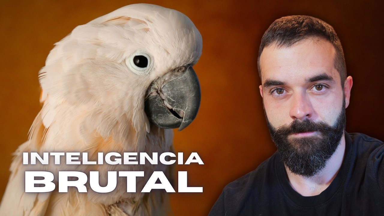 🧠 CACATÚAS: inteligencia superior, traumas y mercado negro