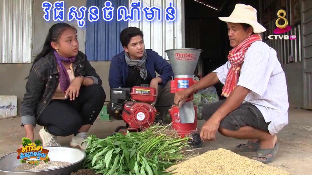 កាត់បន្ថយចំណាយ ផលិតចំណីមាន់ដោយខ្លួនឯង