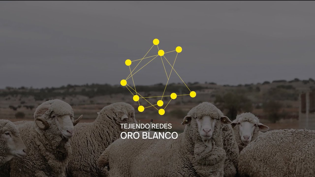 Tejiendo redes. Oro Blanco ▼ Ram&oacute;n Cobo