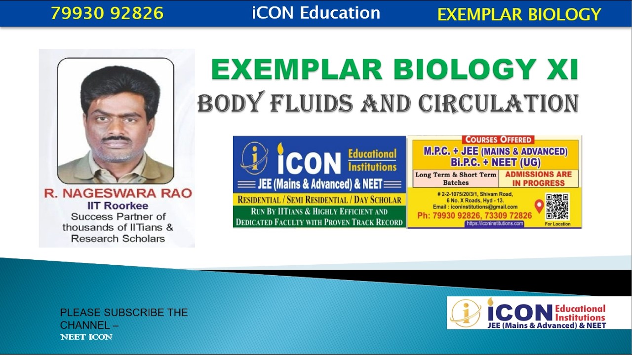 Body Fluids and Circulation