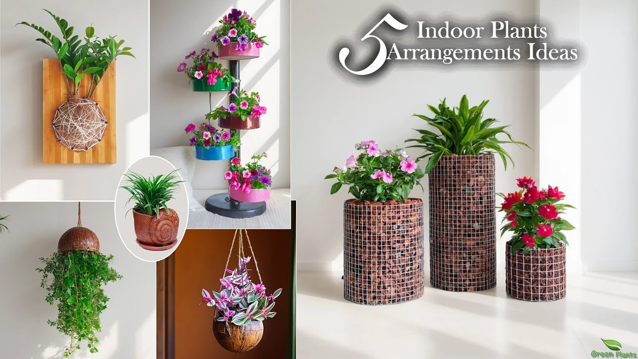 These 5 Plant and Planter Ideas Made My Home Feel Alive//GREEN PLANTS