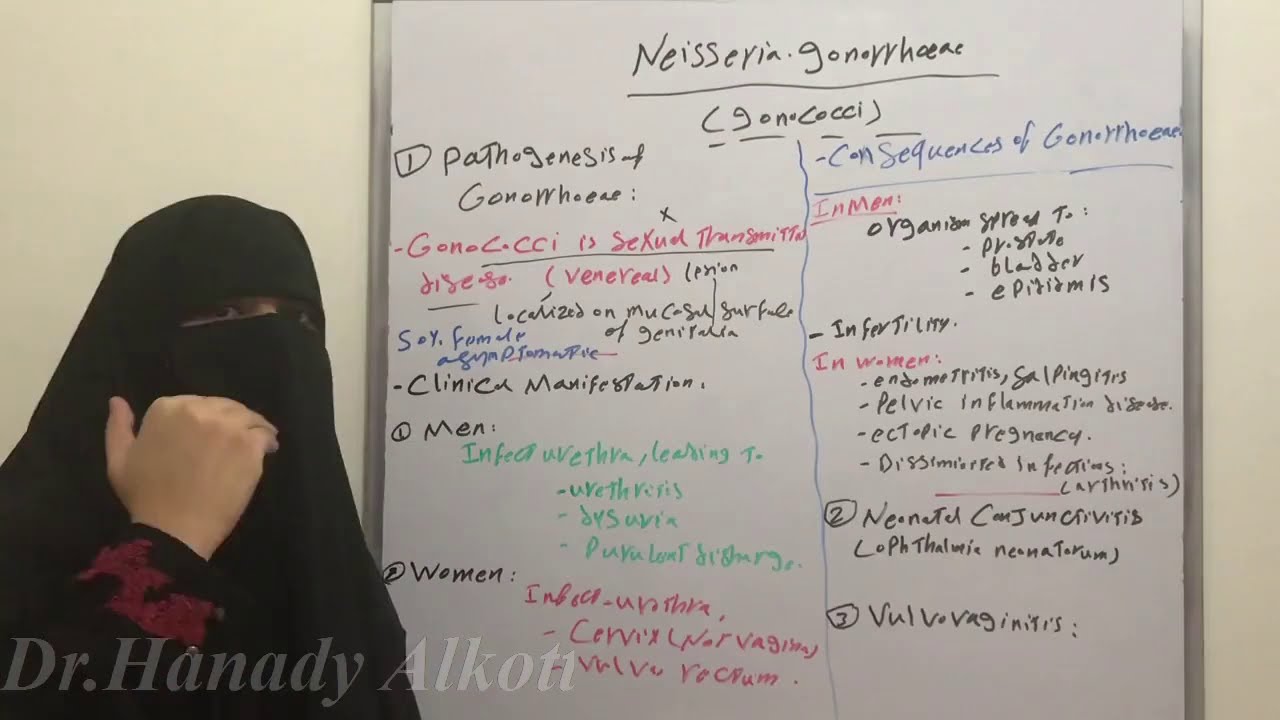 💏💏Neisseria.gonorrhoea Part 2💏💏💏