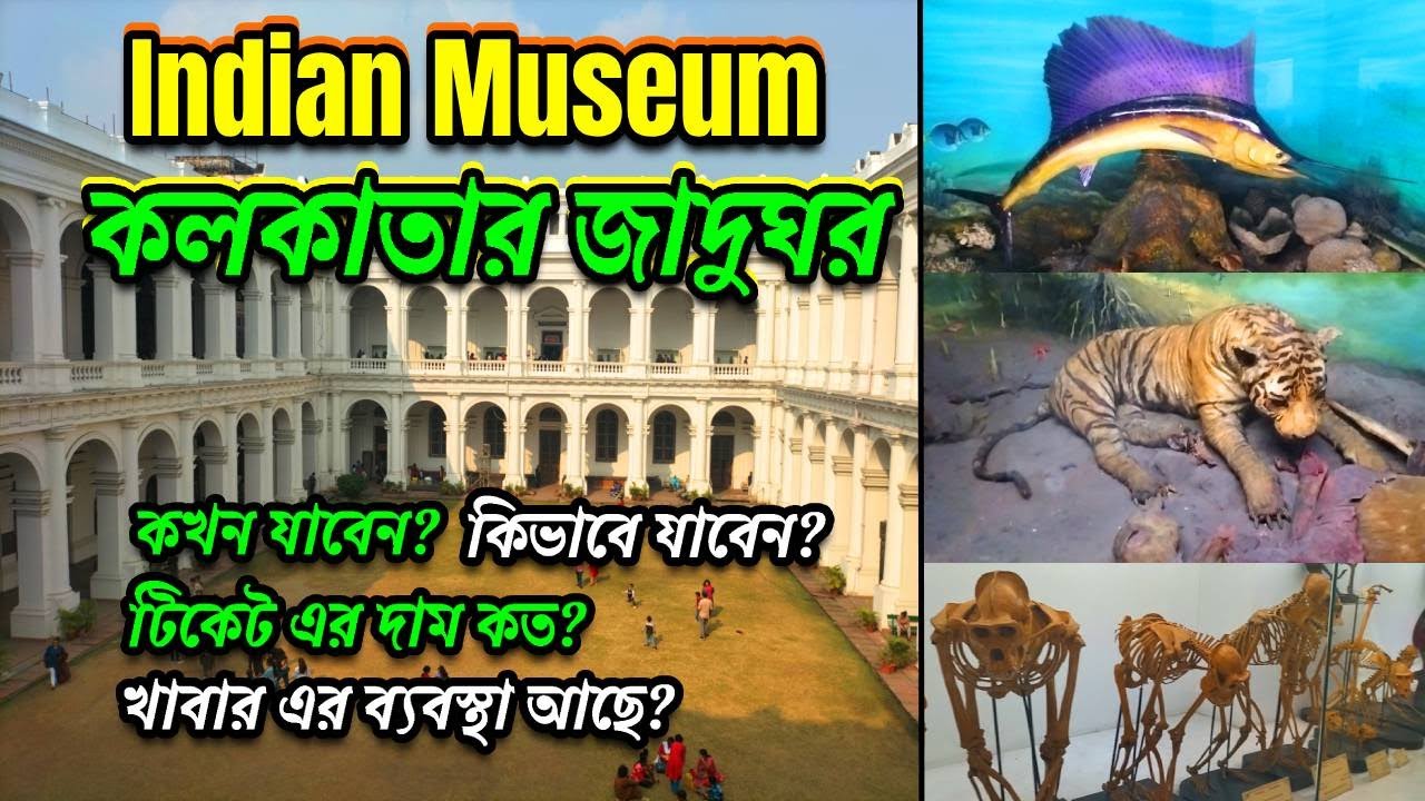 Indian Museum । Indian Museum Kolkata। কলকাতার জাদুঘর। Ticket Price। Kolkata Tour। Kolkata Museum