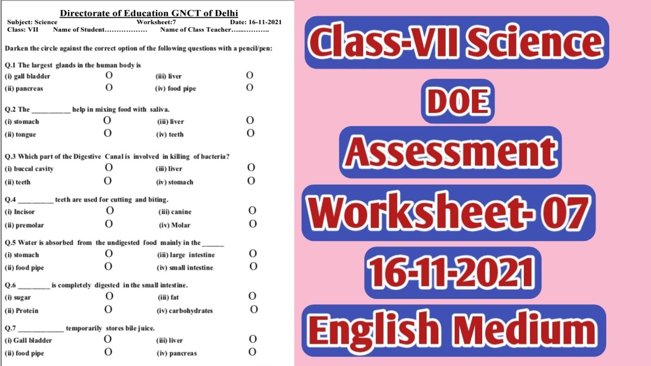 doe | Assessment Worksheet 7 | science | class 7 | 16 November 2021 | english medium
