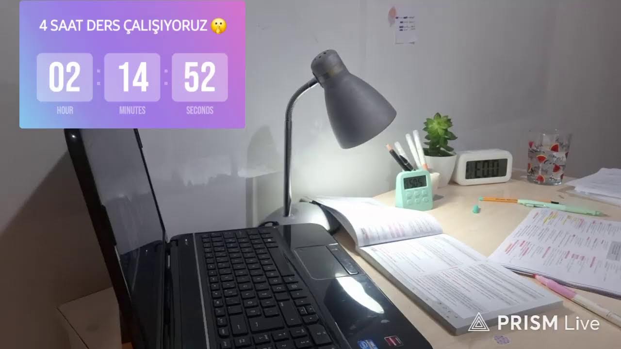 Birlikte ders çalışalım / 4 saat / Study with me / Fireplace sound - Şömine sesi