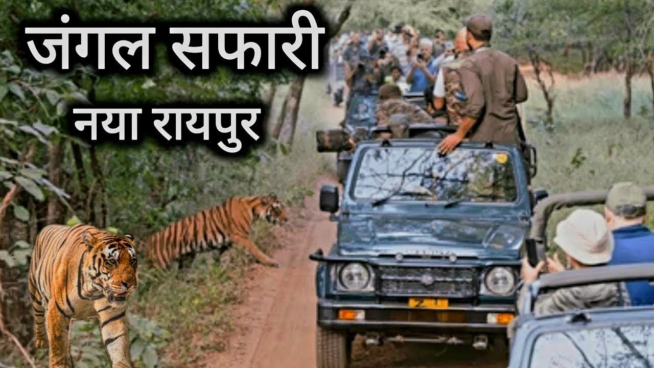 जंगल सफारी | Jungle Safari In Naya Raipur Chhattisgarh | Vlogs Rahul