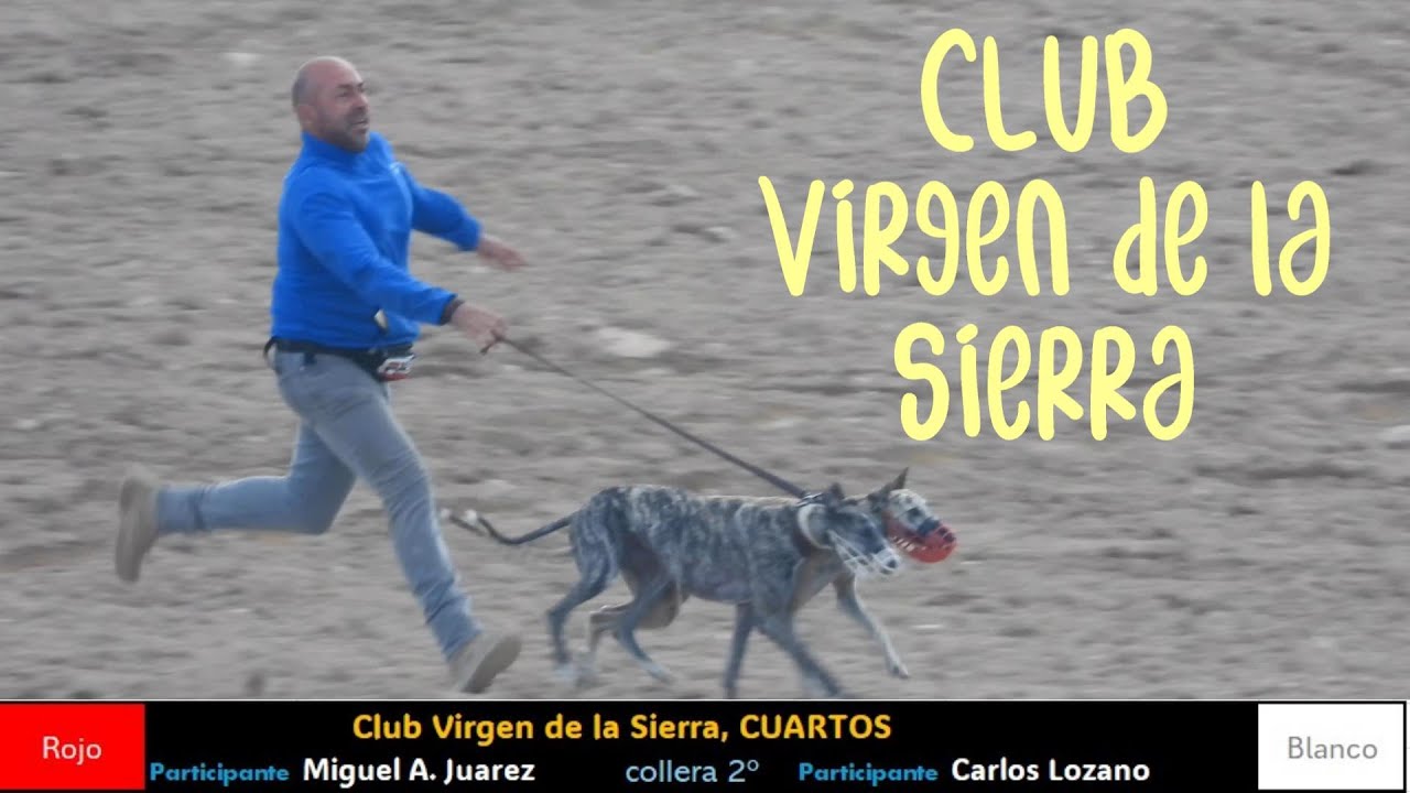 Club Virgen de la Sierra 2024, fase de cuartos de final
