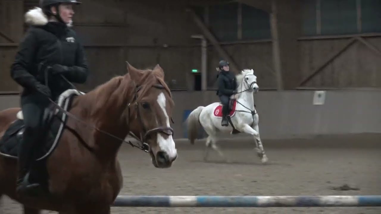 [Etrier Sarthois] Cours de Laetitia du 23/02/2024