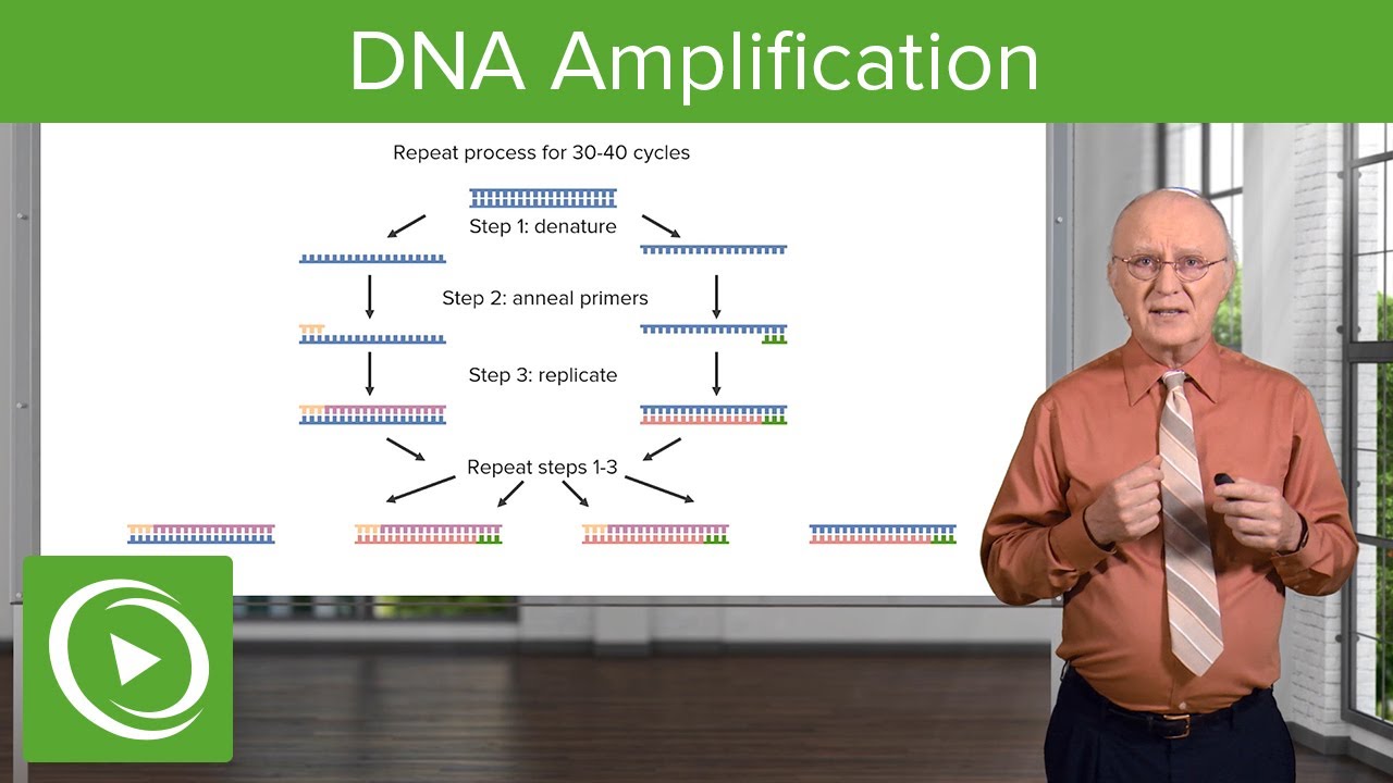 DNA Amplification – Analytical Techniques in Biotechnology – COVID-19 | Lecturio