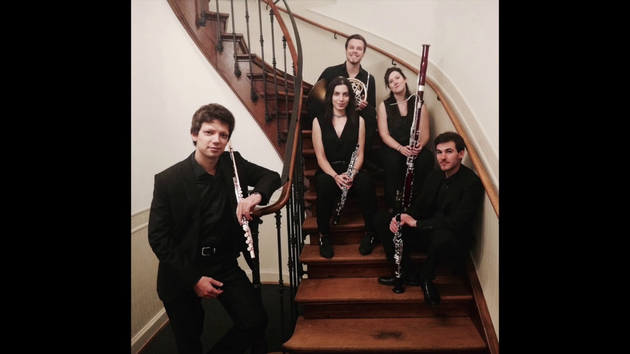 Danzi, Quintet in G Minor, I. Allegretto - performed by the Elementum Quintet