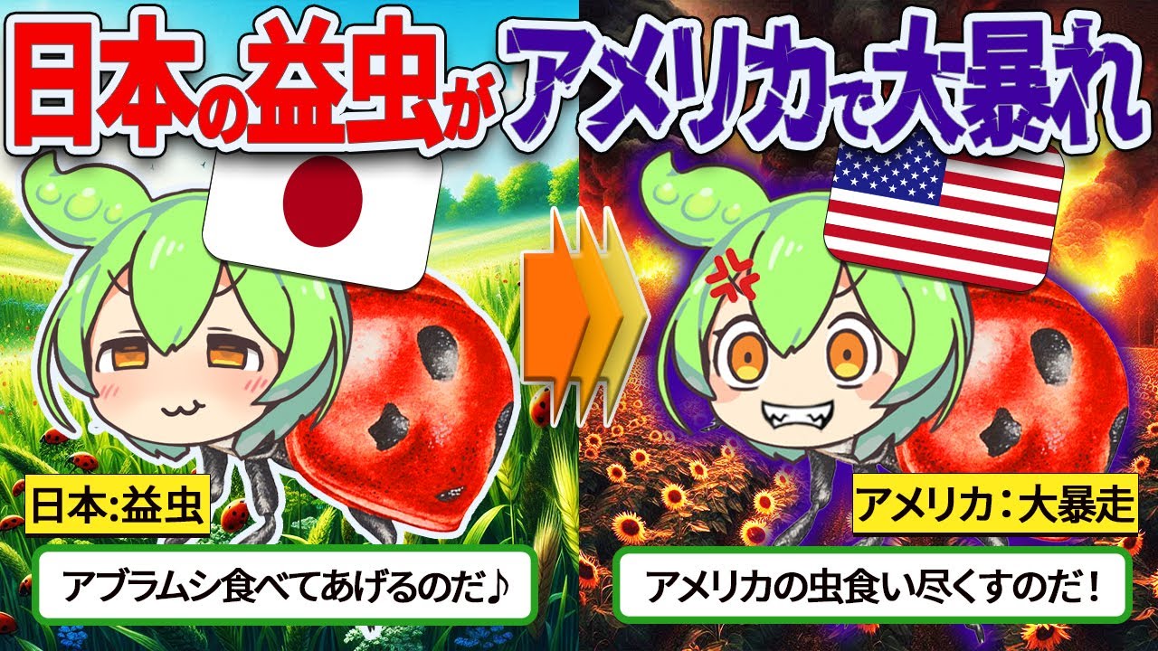 日本の益虫「テントウムシ」をアメリカが飼いならそうとした結果がヤバすぎた【ずんだもん＆ゆっくり解説】
