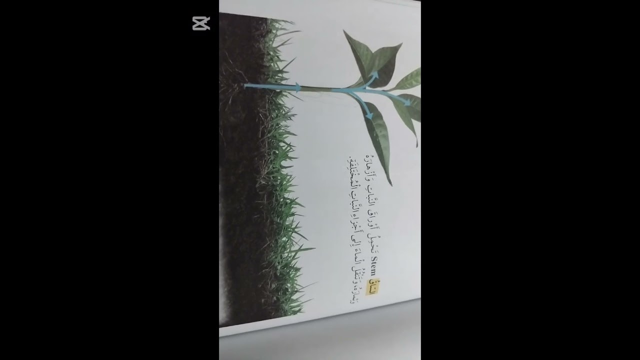 الصف الاول كتاب العلوم النباتات  واجزاءها  الفصل الدراسي الأول 