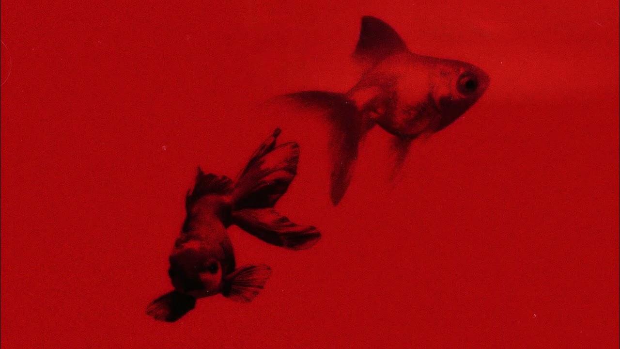 sonzuya - Firefish's Party EP (5th Anniversary Edition) (FULL EP STREAM)
